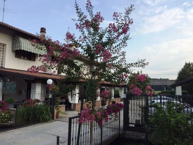 Hotel Locanda Da Carla Виджевано Экстерьер фото